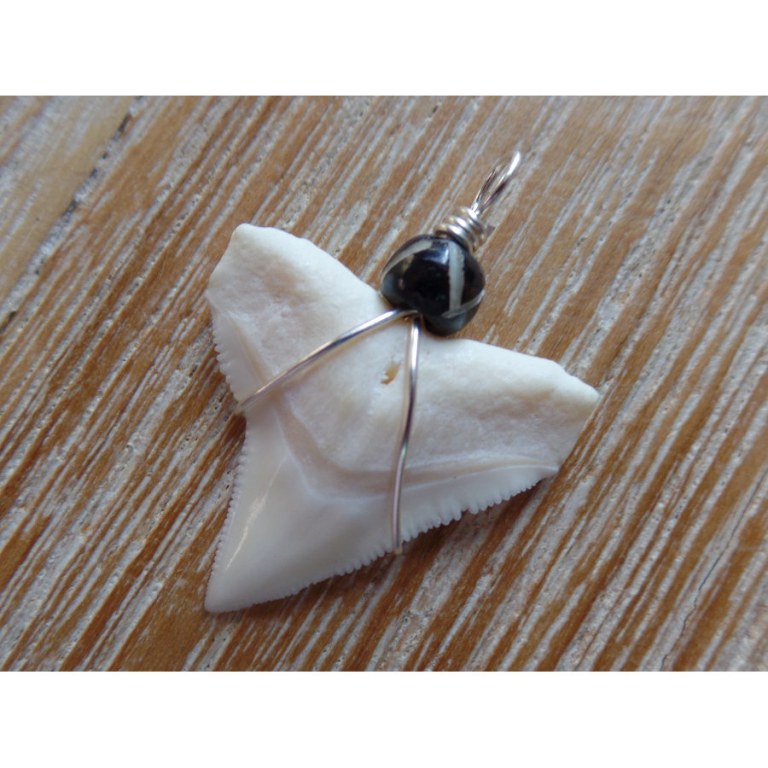 Pendentif dent de requin B9