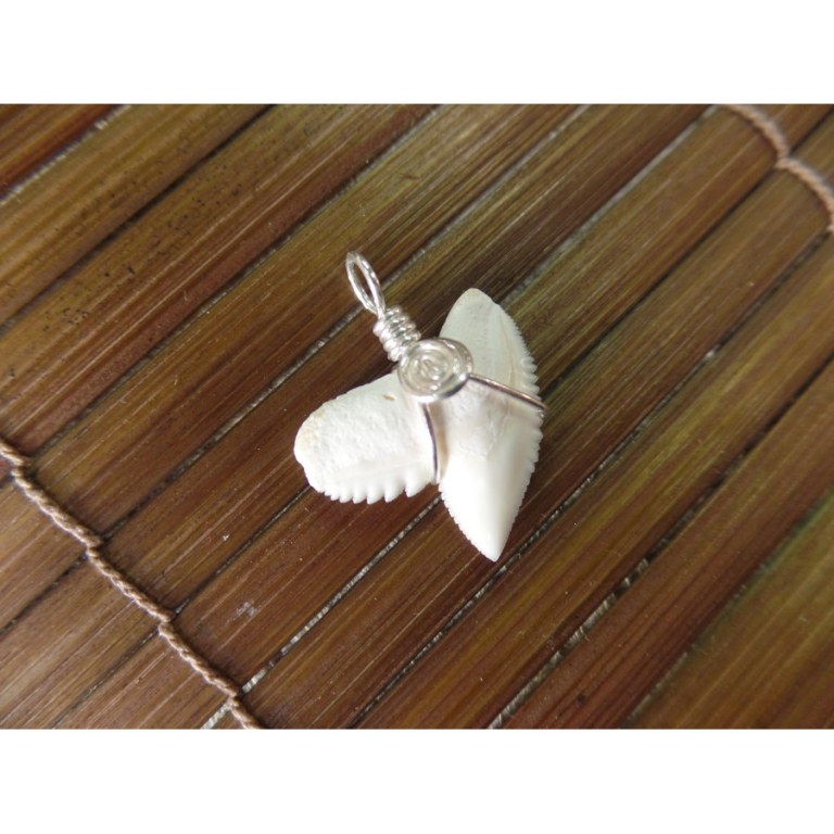 Pendentif petite dent de requin tigre 