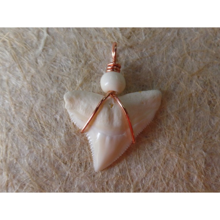 Pendentif B1 dent de requin blanc