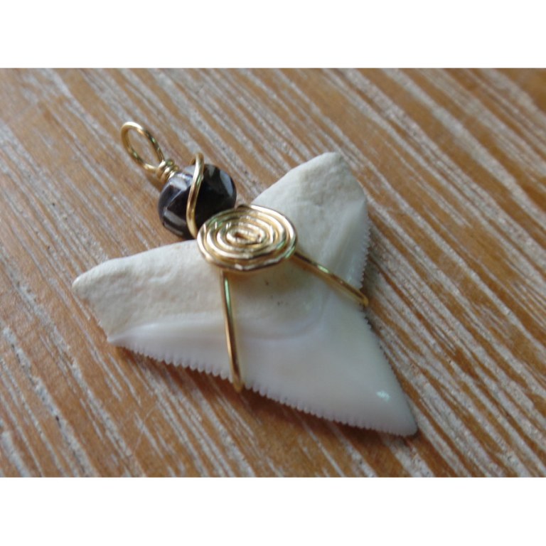 Pendentif dent de requin B11