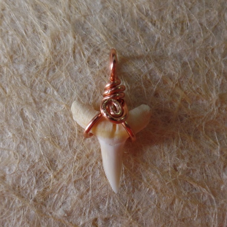 Pendentif B2 petite dent de requin blanc