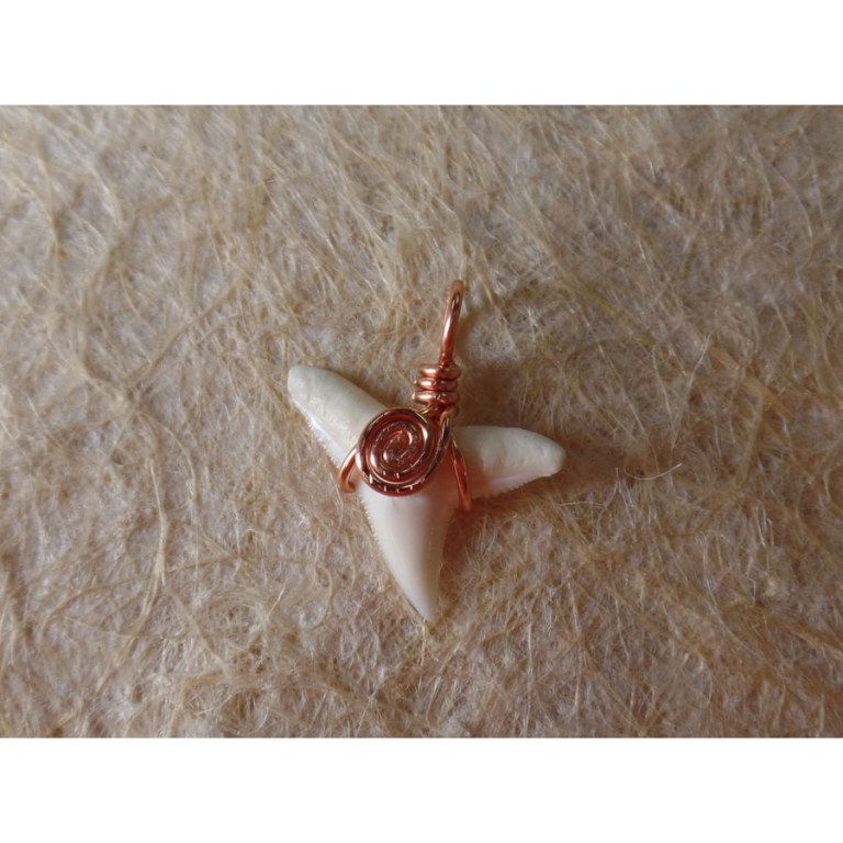 Pendentif B5 dent de requin blanc 