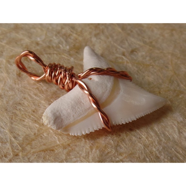 Pendentif torsadé B14 dent de requin blanc 