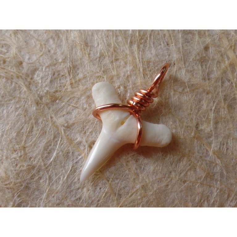Pendentif B17 petite dent de requin blanc 
