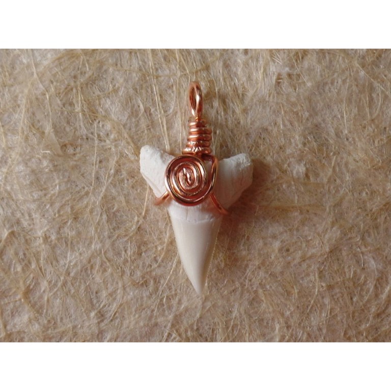 Pendentif B33 petite dent de requin blanc 
