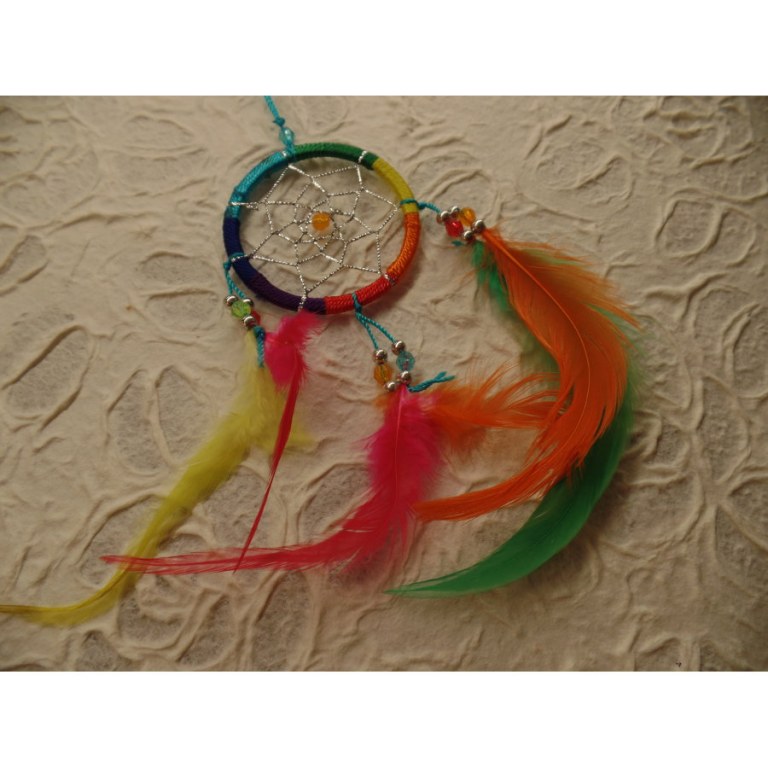 Dreamcatcher rainbow flashy II