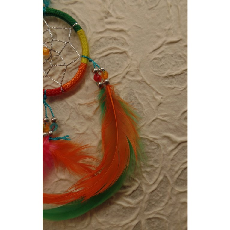 Dreamcatcher rainbow flashy II