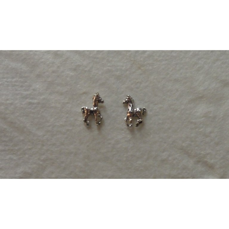 Clous d'oreilles chevaux