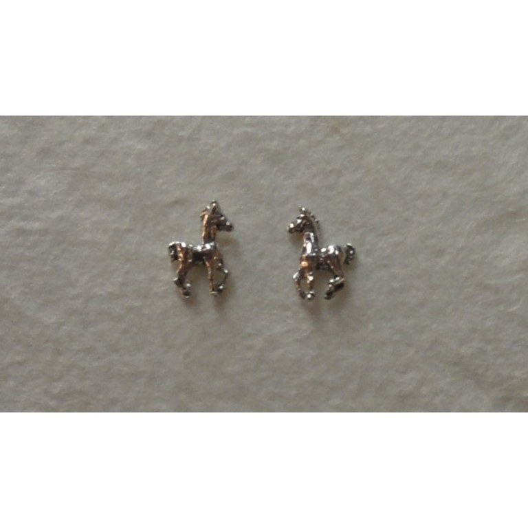 Clous d'oreilles chevaux