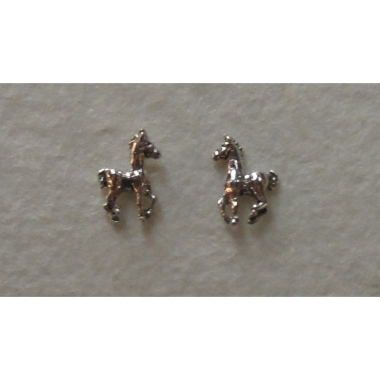 Clous d'oreilles chevaux