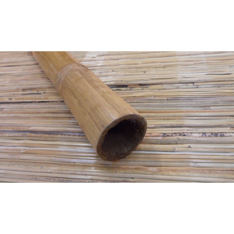 Didgeridoo coorong