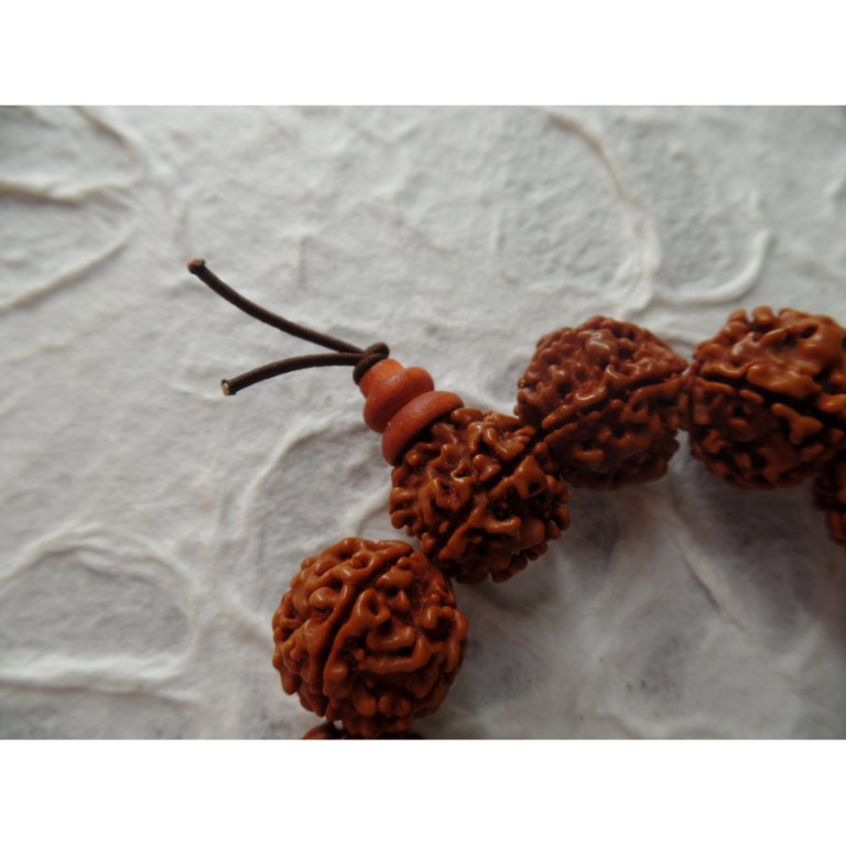 Bracelet mala perles rudraksha 2