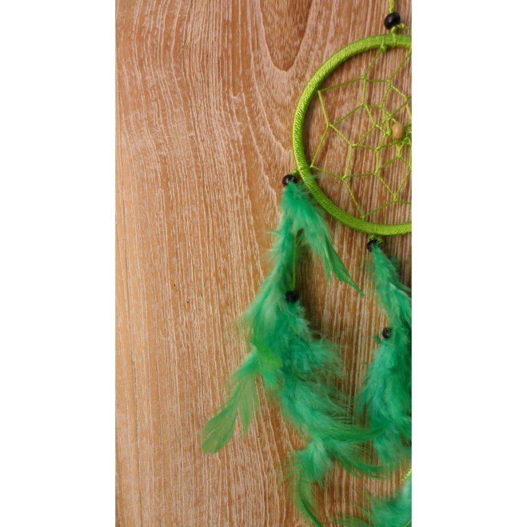 Dreamcatcher vert kolin