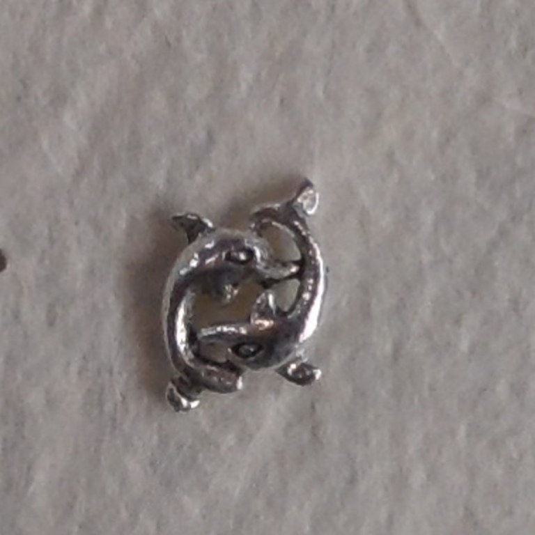 Boucles d'oreilles les 2 dauphins