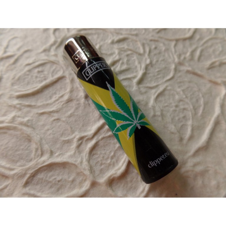 Briquet feuille verte