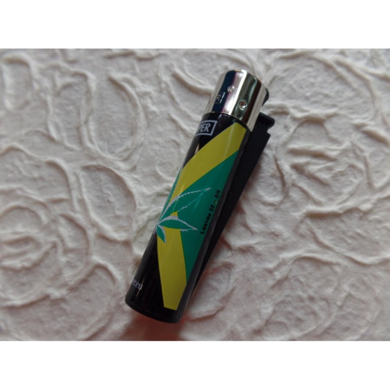 Briquet feuille verte