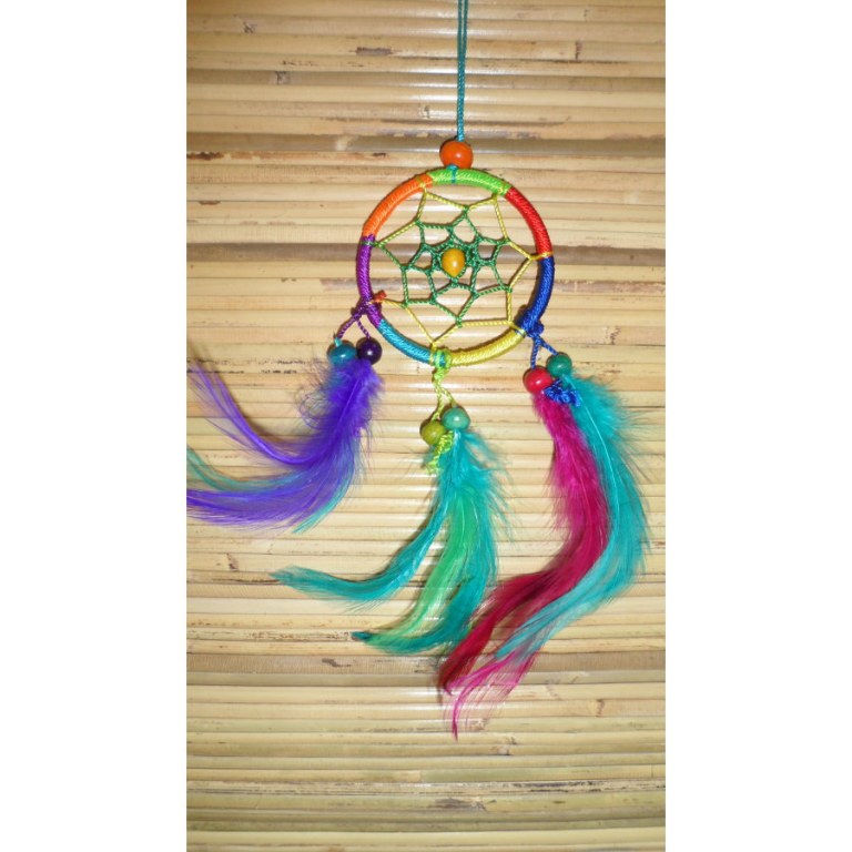 Dreamcatcher Cayuga