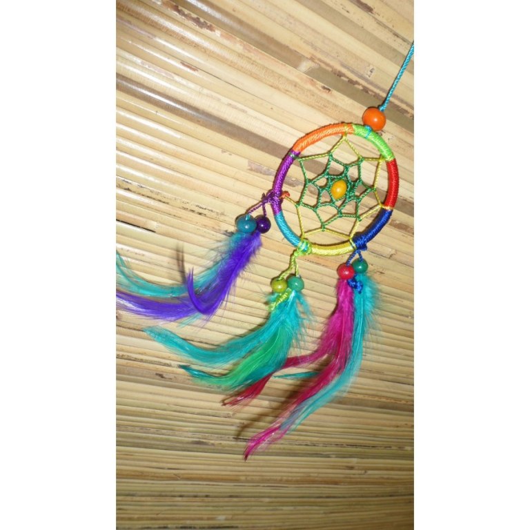 Dreamcatcher Cayuga