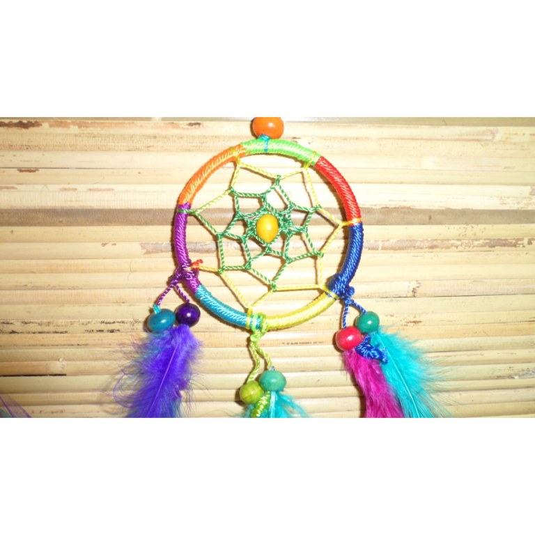 Dreamcatcher Cayuga