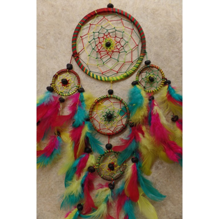 Dreamcatcher rasta color II