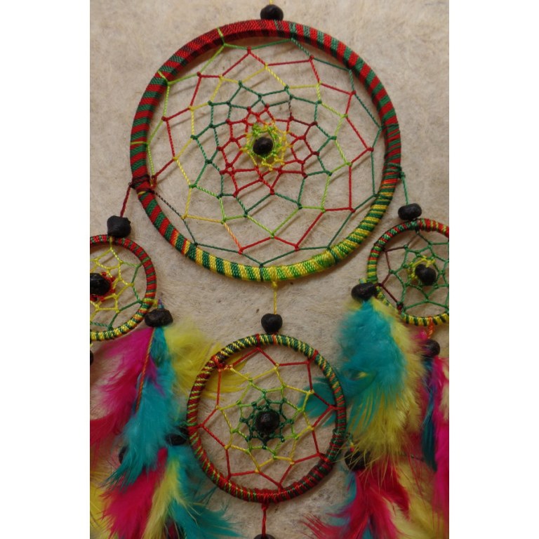 Dreamcatcher rasta color II