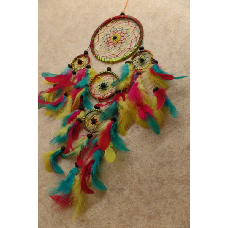 Dreamcatcher rasta color II