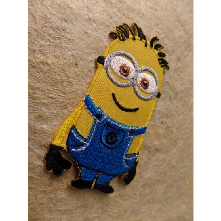 Patch minion