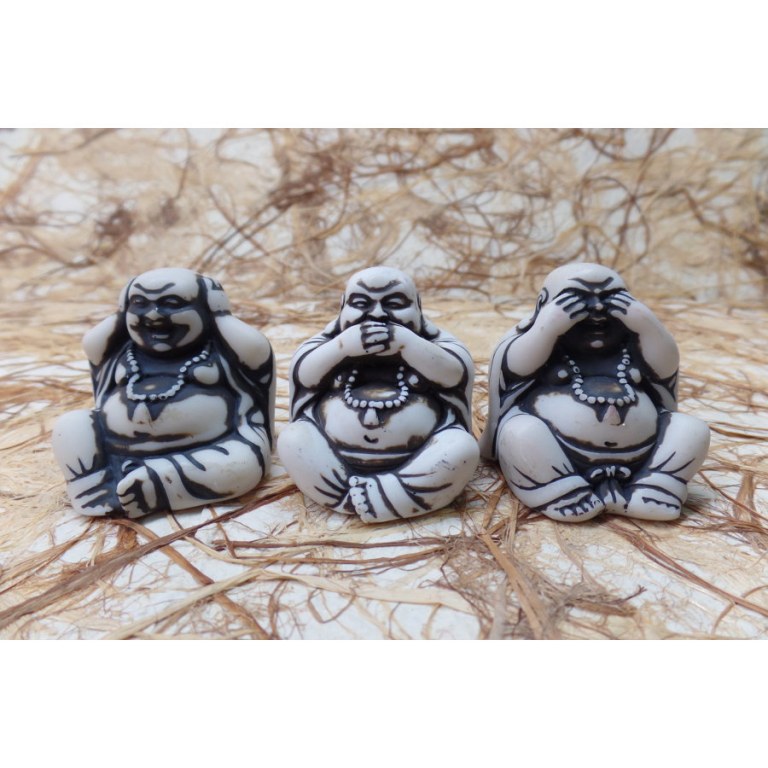 Les 3 Bouddha de la sagesse
