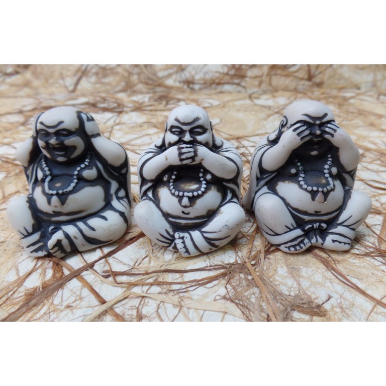 Les 3 Bouddha de la sagesse