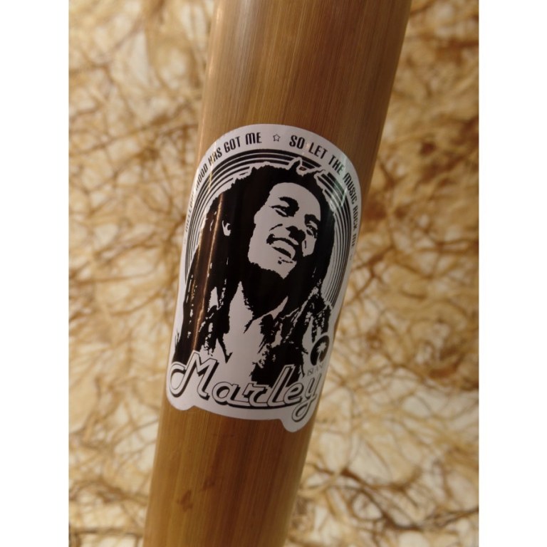 Pipe à eau Bob Marley