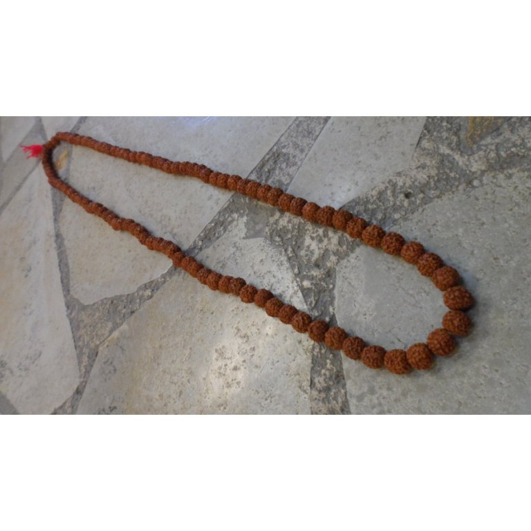 Mala 108 perles 1.3 Rudraksha