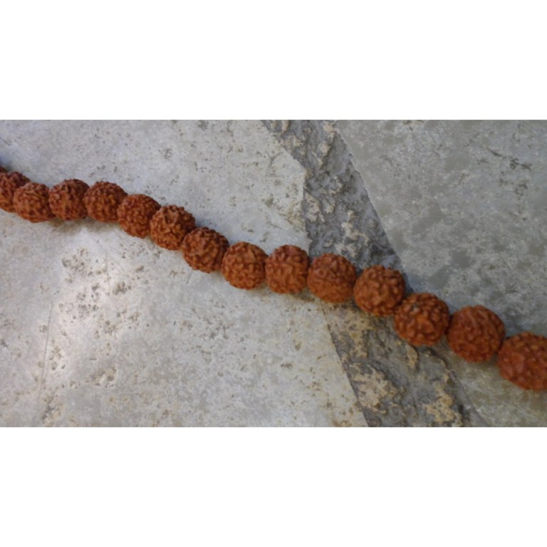 Mala 108 perles 1.3 Rudraksha