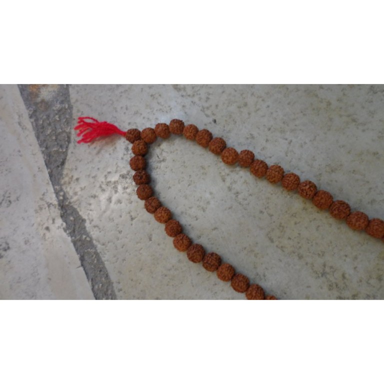 Mala 108 perles 1.3 Rudraksha