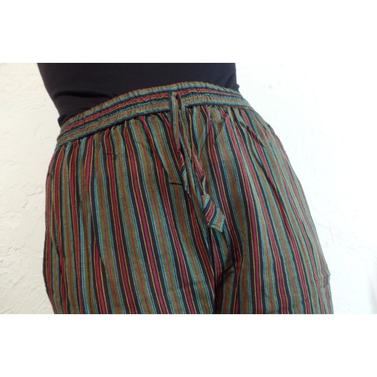 Pantalon Gandaki vert