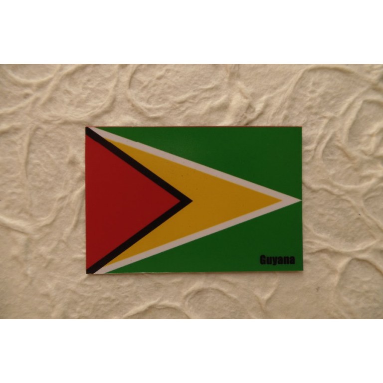 Magnet drapeau Guyana