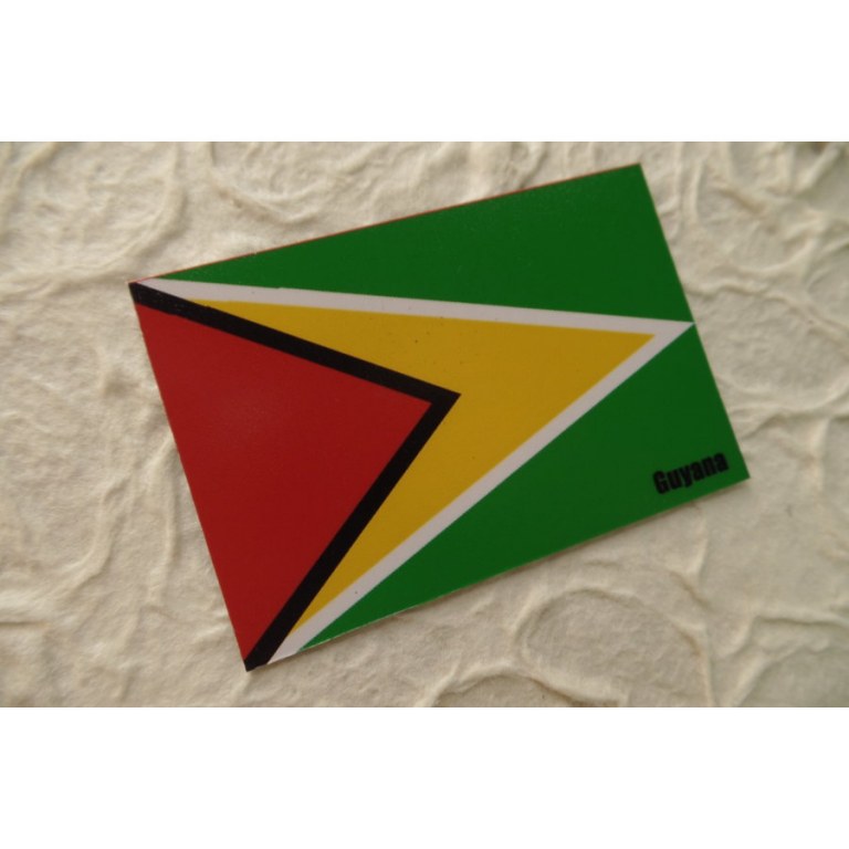 Magnet drapeau Guyana