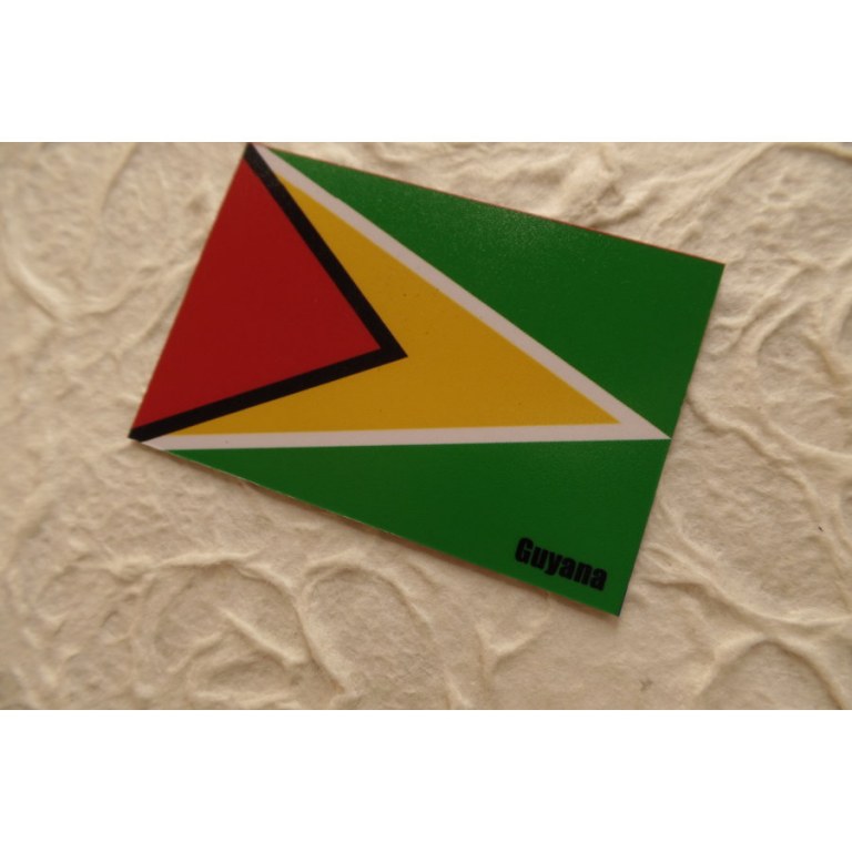 Magnet drapeau Guyana