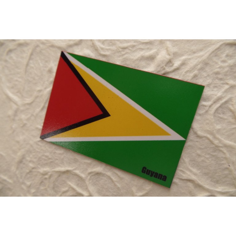 Magnet drapeau Guyana