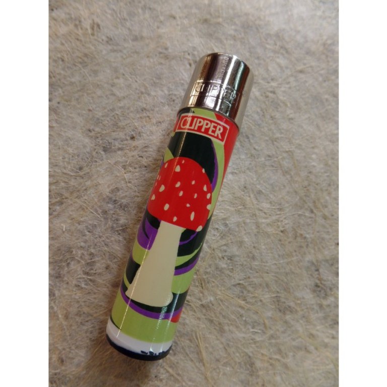 Briquet magic mushroom amanite