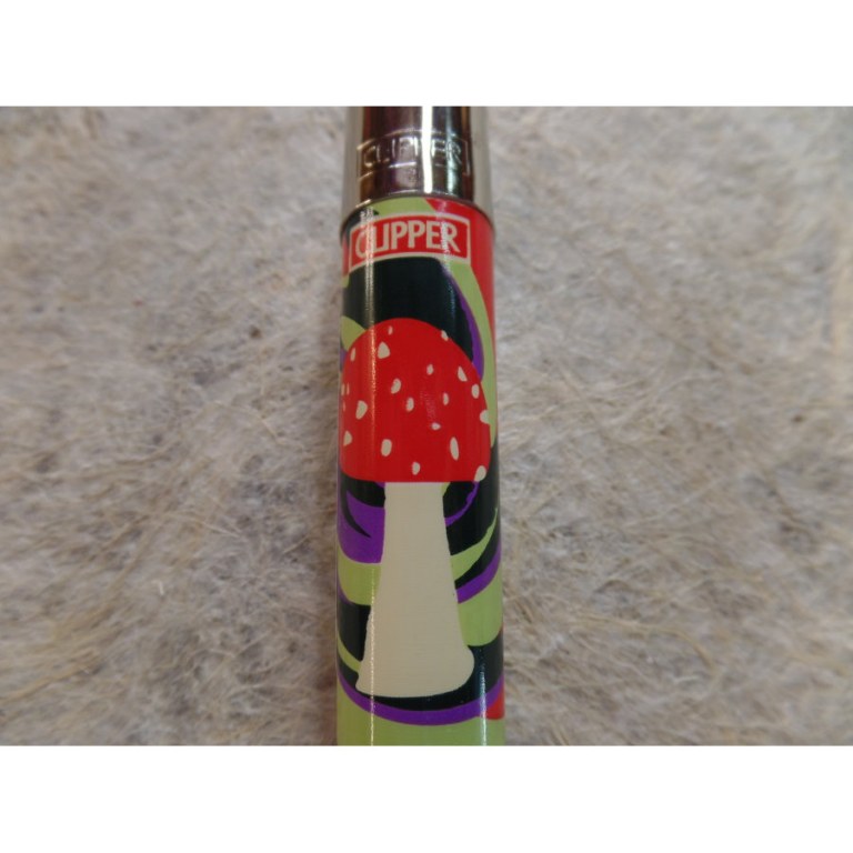 Briquet magic mushroom amanite