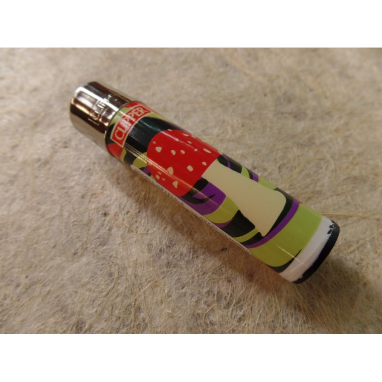 Briquet magic mushroom amanite