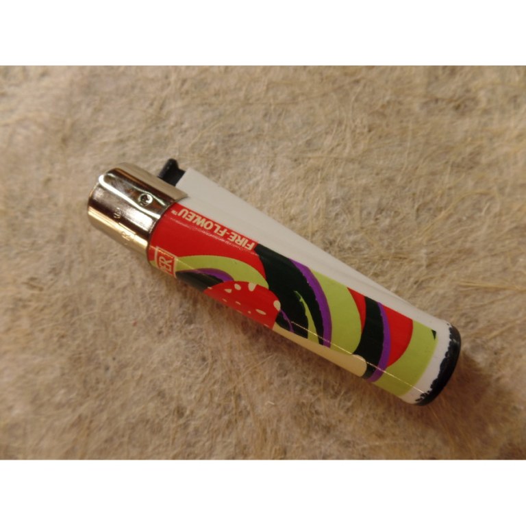 Briquet magic mushroom amanite