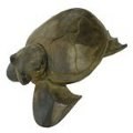 Boîtes animaux