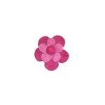 Broche Rapti fuschia