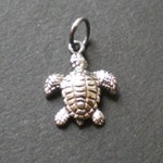 Pendentif petite tortue de mer