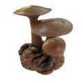 Sculpture champignons