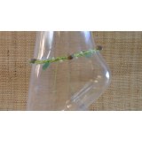 Bracelet de cheville vert pistache coquillages