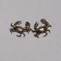 Boucles d'oreilles  les crabes