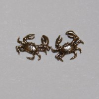 Boucles d'oreilles  les crabes