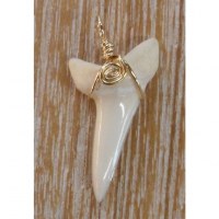 Pendentif dent de requin Mako